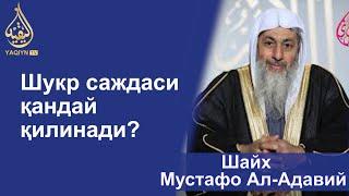 "Шукр саждаси қандай қилинади?" Шайх Мустафо Ал-Адавий