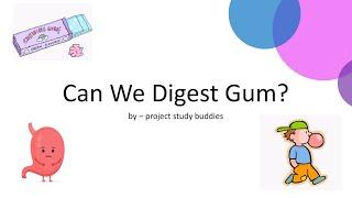 Can We Digest Gum? | IGCSE BIOLOGY DIGESTION