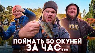 ПОЙМАТЬ 50 ОКУНЕЙ ЗА ЧАС…