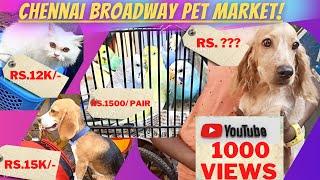 CHENNAI BROADWAY PET MARKET | After lockdown (2021)| SUNDAY PET MARKET