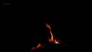 Cozy Evening Fireplace at Night Fire Sounds 12 hrs Crackling Fireplace Noises Dark Screen for Sleep