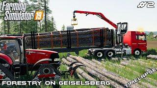 Selling 15m logs | Forestry on Geiselsberg | Farming Simulator 19 | Episode 2