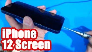 iPhone 12 Screen Replacement - EASY!