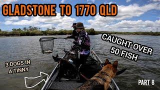 Caravan Road Trip QLD - Gladstone to 1770 in a tinny with 3 dogs fishing | pet friendly | free camps