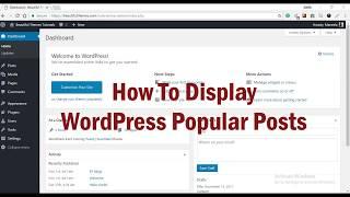 How to display WordPress Popular Posts: Beginners' Guide