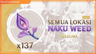 SEMUA LOKASI NAKU WEED GENSHIN IMPACT | ALL GENSHIN IMPACT NAKU WEED LOCATION - KUKI SHINOBU YOIMIYA