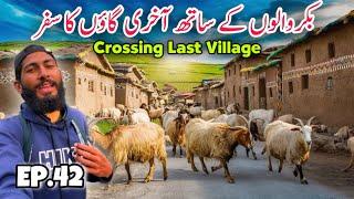 Crossing Last Village of Gilgit Baltistan Astore | Travelling With Bakarwal In Kashmir Episode 42