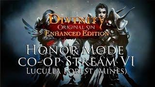 Divinty Original Sin EE Honor Mode Co op VI (Luculla Forest Mines) by Fextralife