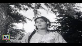 SAATHI KAHAN HO AWAZ DO - NOOR JEHAN & MUJEEB ALAM - PAKISTANI FILM LAKHON MAIN AIK