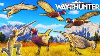 Thanksgiving Pheasant Hunt | Way of the Hunter