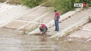 Уровень воды в реке Чита почти достиг 2,5 метров