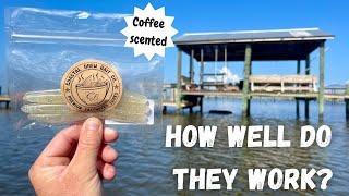 I Tried Using COFFEE Scented Lures to Catch Flounder While Wade Fishing!