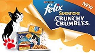 Introducing NEW FELIX® Sensations Crunchy Crumbles