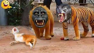 Funny Animals  Funny Cats & Dogs Videos  Funniest Animals 2023 #4
