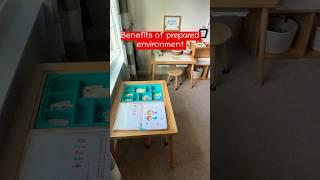 Nurturing Young Minds: The Advantages of a Prepared Environment in Montessori at Home