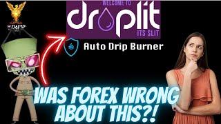 Drip Network Forex Shark building projects for the community how to
