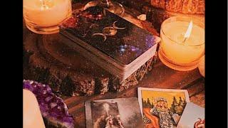 Tarot / Họ đang nghĩ gì về kết nối này 