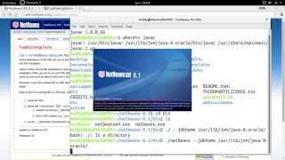 run netbeans with --jdkhome option