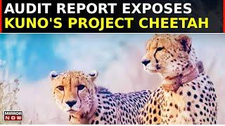 Audit Exposes Red Flags in Kuno National Park's Project Cheetah| Cheetahs Dying, Centre-State Issues