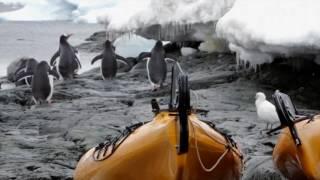 Akademik Sergey Vavilov in Antarctica