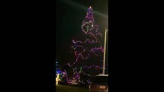 COBALT RIDGE GIANT CHRISTMAS TREE!