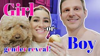 Simple IVF Baby Gender Reveal!