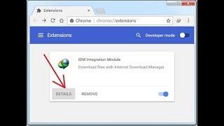 How to Fix IDM Extensions & Not Showing On Google Chrome