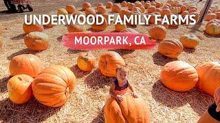 Underwood Family Farms in Moorpark, California | Tractor Rides & Vegetable Picking