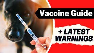 The 4 Vaccines to AVOID?! ️ Veterinarian’s Recommendation