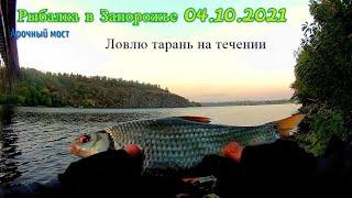 Рыбалка в Запорожье 04.10.2021, Арочный мост. Рыбалка в Запорожье. Ловлю Тарань на пружиный.