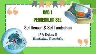 BAB 1 PENGENALAN SEL || Sel Hewan dan Sel Tumbuhan || IPA Kelas 8 Kurikulum Merdeka