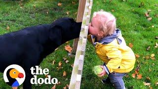 When You Grow Up With Your Best Friend ️ | The Dodo