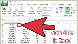 How to Use AutoFilter in MS Excel - create a filter (use autofilter) in excel