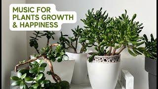 Music for Plants | Stimulate Plants Growth and Happiness with Soothing Sounds