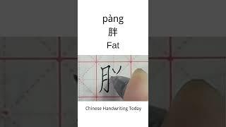 How to write Fat in Chinese character | Amazing Chinese Calligraphy | Satisfying Handwriting