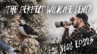 The Perfect Wildlife Photography Lens? - 70-200 F2.8 Sony G Master