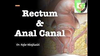 Anatomy of Rectum and Anal Canal (Full Lecture)