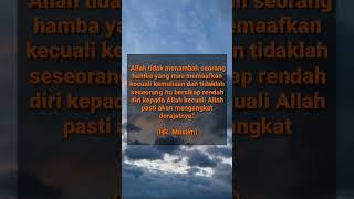 Kemuliaan untuk sang Pemaaf /// Nasehat Islami