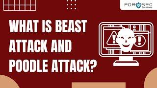 What is Beast and Poodle attack | How do they work | What's the actual difference between them?