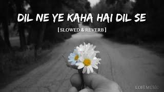Dil ne yeh kaha hai dil se  | Slowed & Reverb | Udit narayan,alka yagnik |Dhadkan Lofi Music #lofi