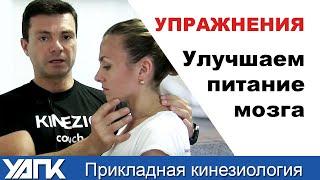 УПРАЖНЕНИЯ. Улучшаем питание мозга . 2 простые техники