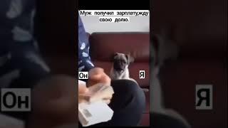 Давай быстрее считай