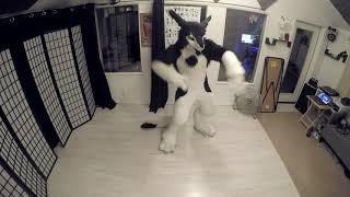 Rinn - Raw Practice Session Sergal Fursuit Dance