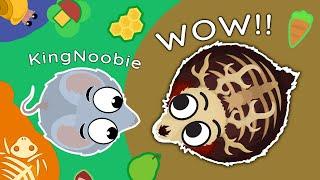 I USED NOOBHIMSELF'S MOPE.IO ACCOUNT FOR ONE DAY !!