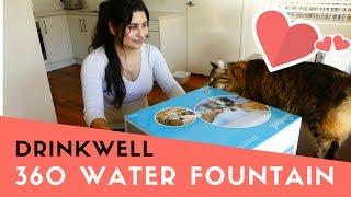 DRINKWELL 360 MULTI-PET STAINLESS STEEL PET FOUNTAIN Setup & Cat TEST