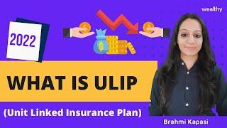 What is Unit Linked Insurance Plan (ULIP) | Brahmi Kapasi | Wealthy