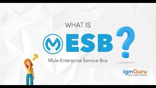 What is Mule Enterprise Service Bus | Mule ESB Tutorial | Mulesoft Training [Updated 2024] - igmGuru