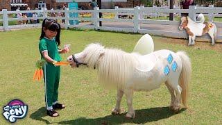 Yuk Kasih Makan Kuda Poni Mirip My Litte Pony | Mengenal Binatang Lucu