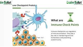 Immune Checkpoint Proteins