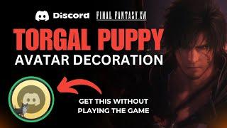 Complete Torgal Puppy Avatar Decoration Quest on Discord Without Playing The Game